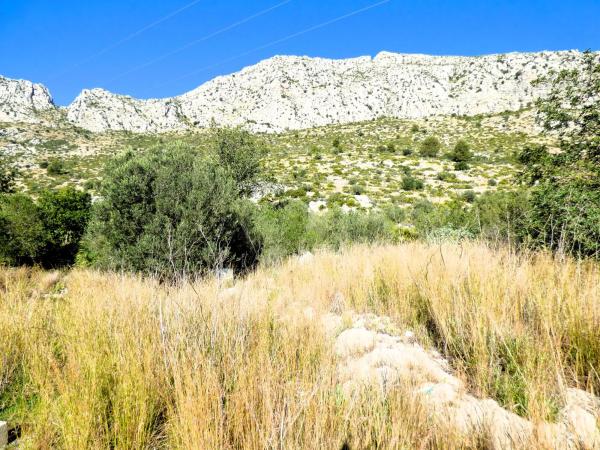 Terreno en Partida Tosals, 2 photo 1
