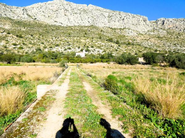 Terreno en Partida Tosals, 2 photo 4
