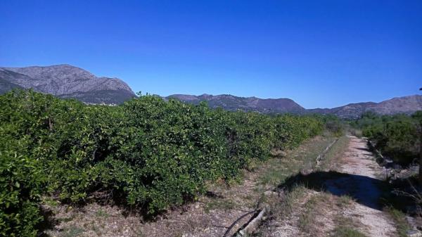 Terreno en Benidoleig photo 1