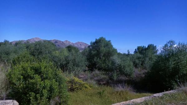 Terreno en Benidoleig photo 3