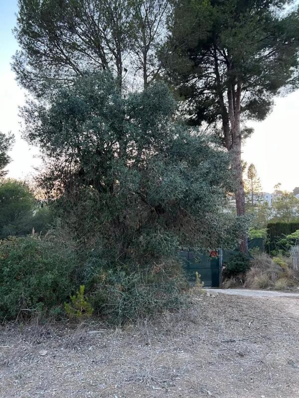 Terreno en venta en Benissa, Alicante photo 2