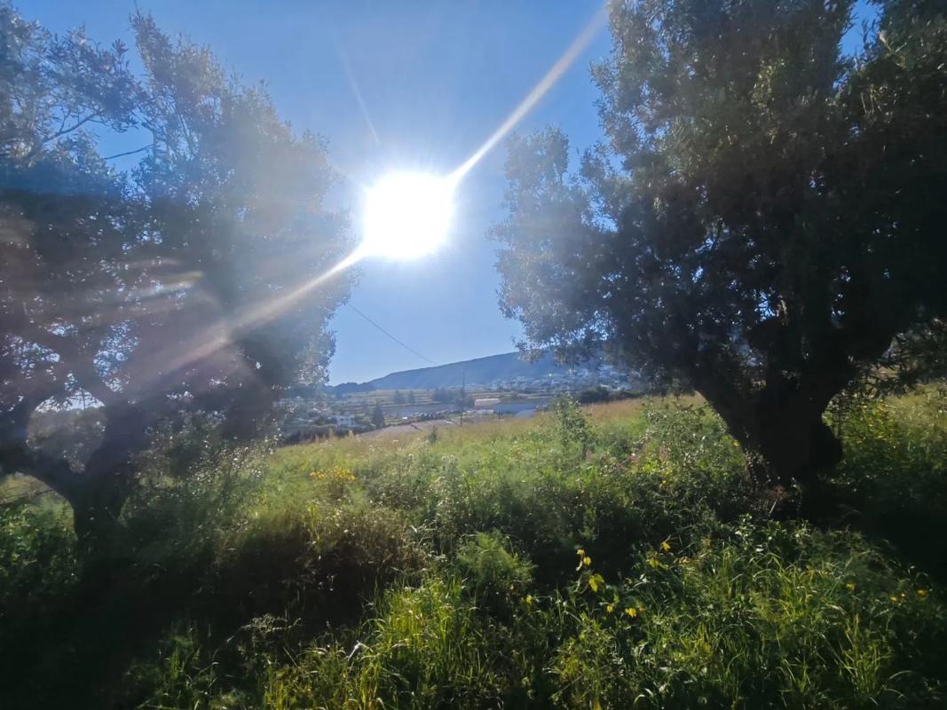 Działka na sprzedaż w Benitachell, Alicante photo 3