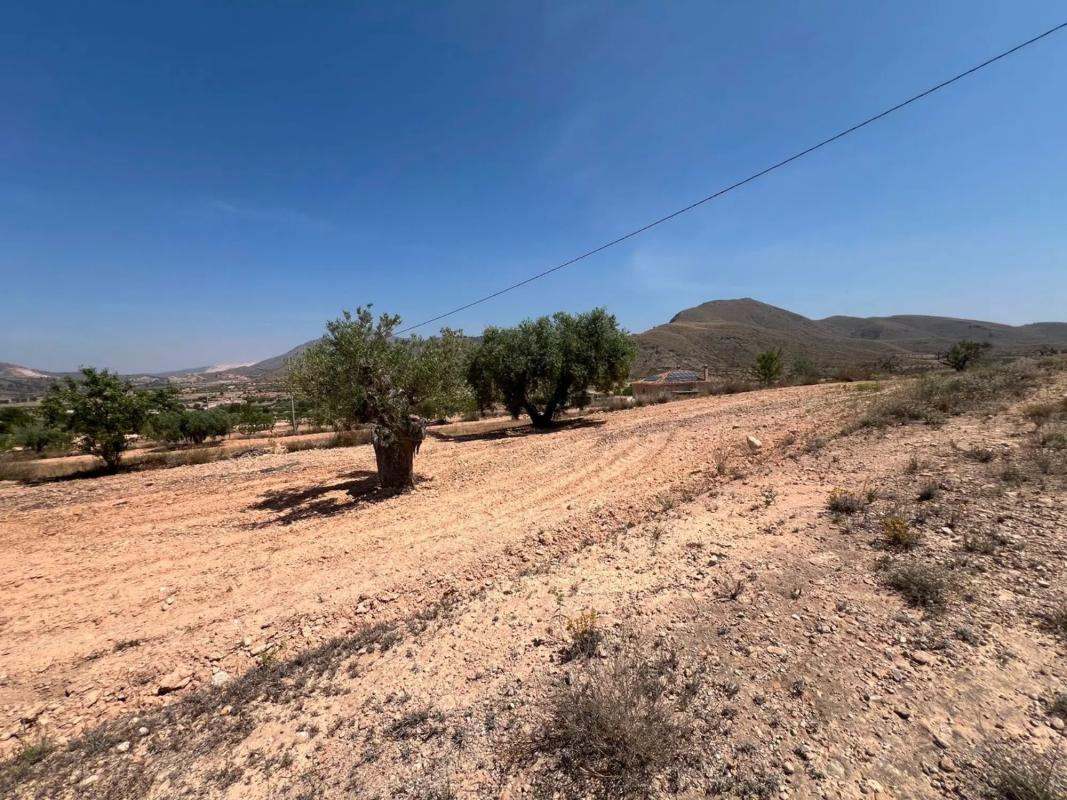 Land for sale in Orihuela, Alicante photo 1
