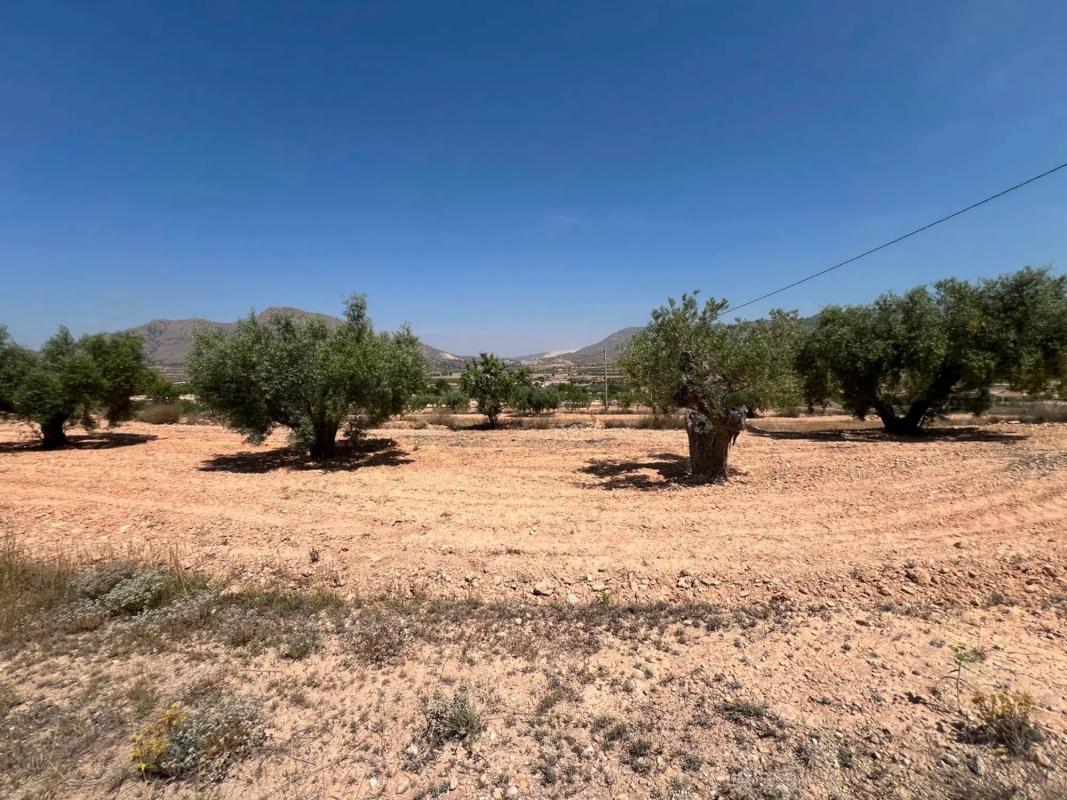 Land for sale in Orihuela, Alicante photo 2