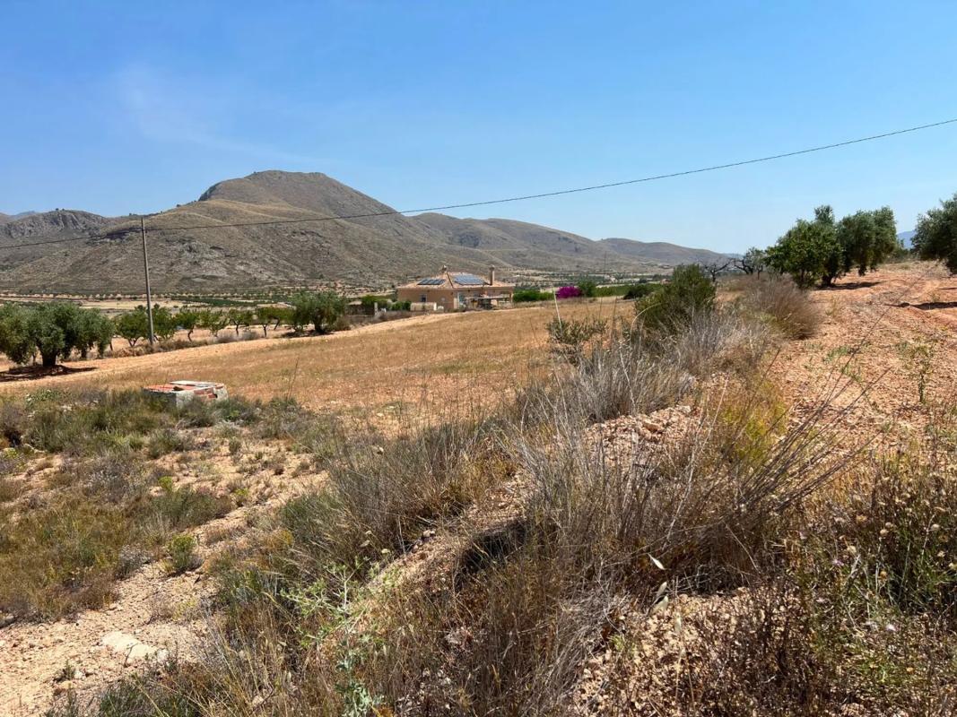 Land for sale in Orihuela, Alicante photo 3