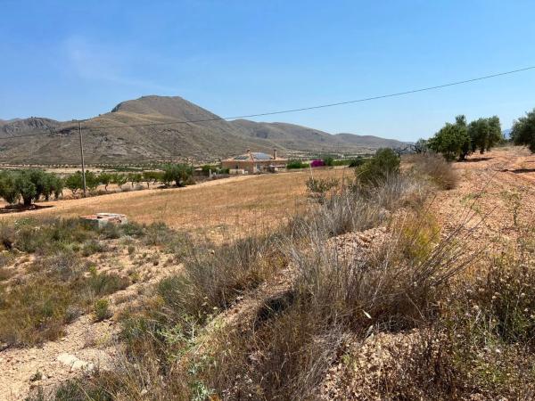 Terreno en La Murada-Los Vicentes photo 3