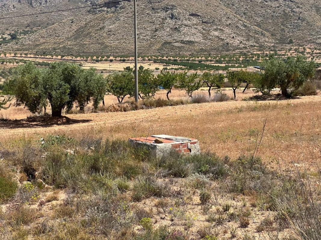 Land for sale in Orihuela, Alicante photo 4