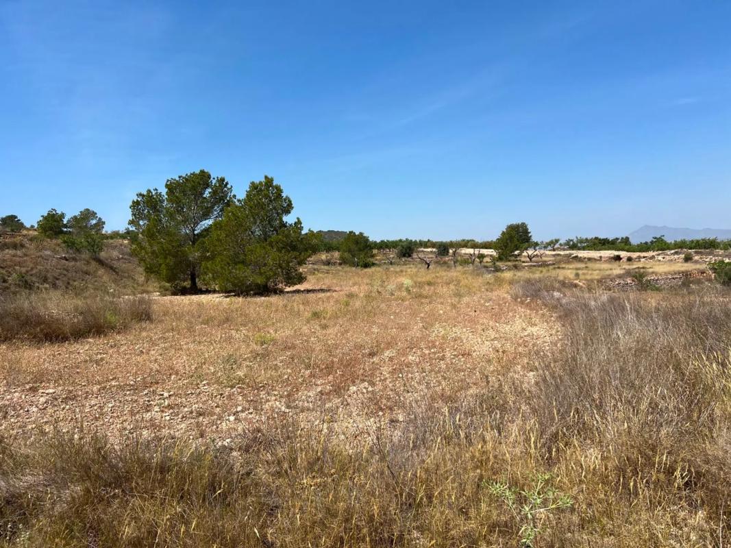 Land for sale in Orihuela, Alicante photo 5