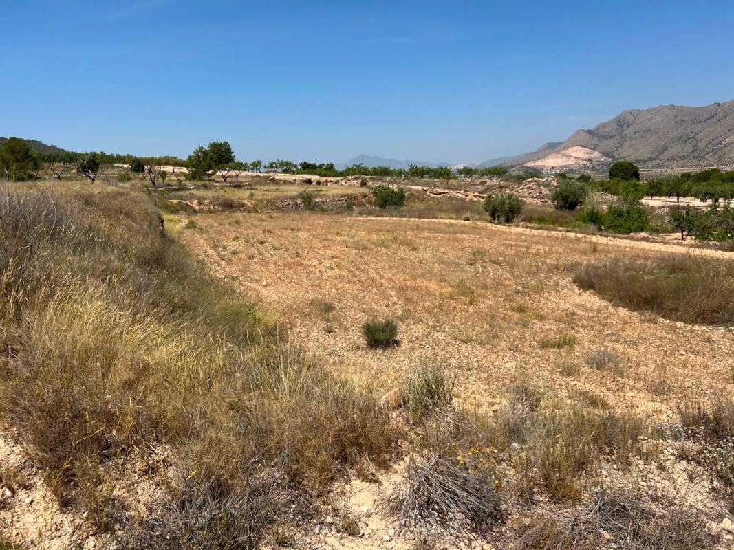 Terreno en venta en Orihuela, Alicante photo 1