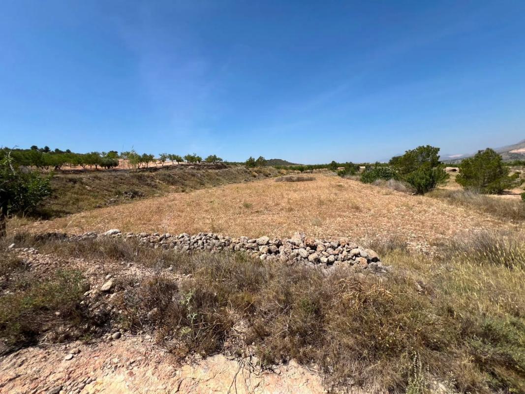 Terreno en venta en Orihuela, Alicante photo 2
