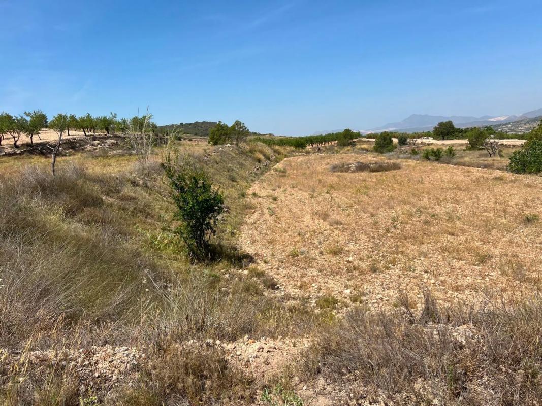 Terreno en venta en Orihuela, Alicante photo 3