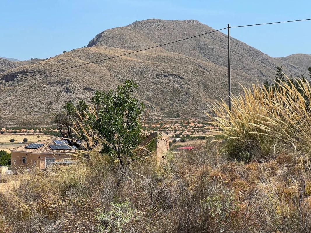 Terreno en venta en Orihuela, Alicante photo 5