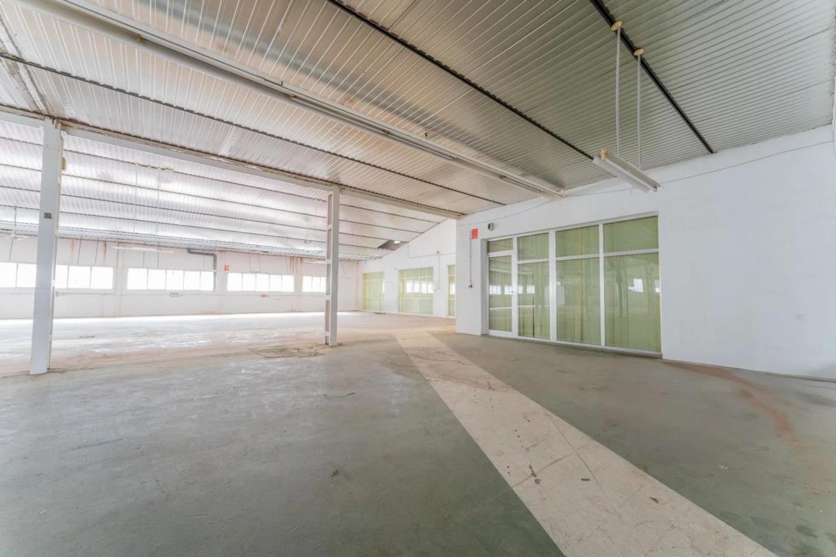 Land for sale in Elche / Elx, Alicante photo 4
