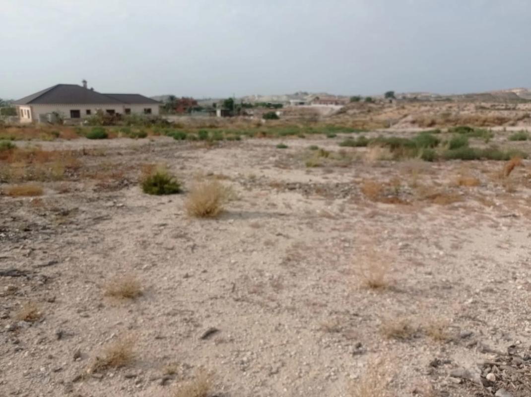 Terreno en venta en Elche / Elx, Alicante photo 1