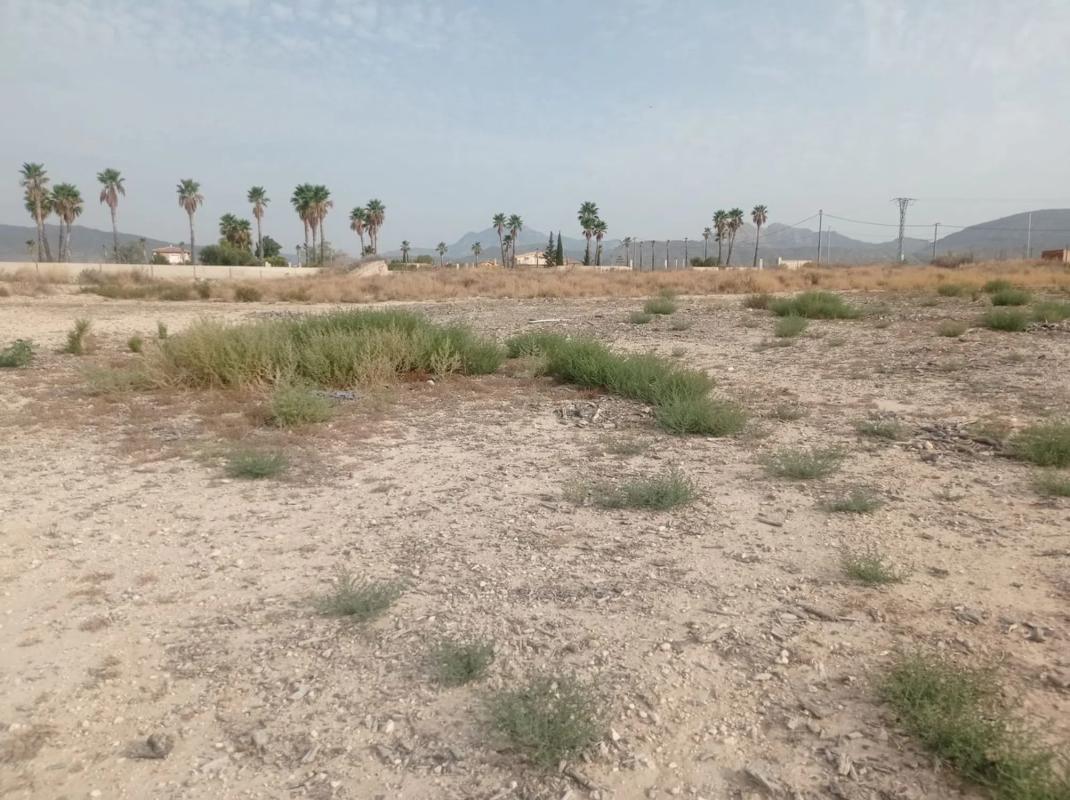 Terreno en venta en Elche / Elx, Alicante photo 3