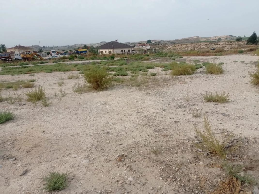 Terreno en venta en Elche / Elx, Alicante photo 5