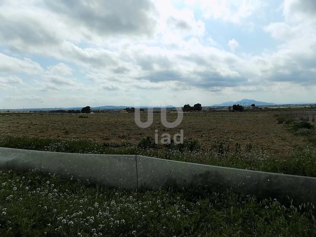 Terreno en venta en Elche / Elx, Alicante photo 4