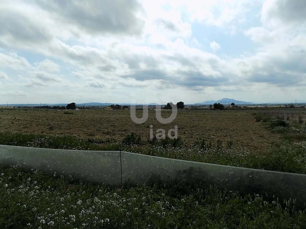 Terreno en venta en Elche / Elx, Alicante photo 5