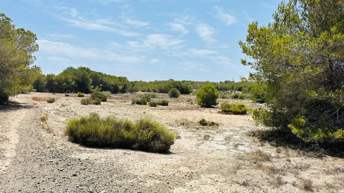 Działka na sprzedaż w Elche / Elx, Alicante photo 1