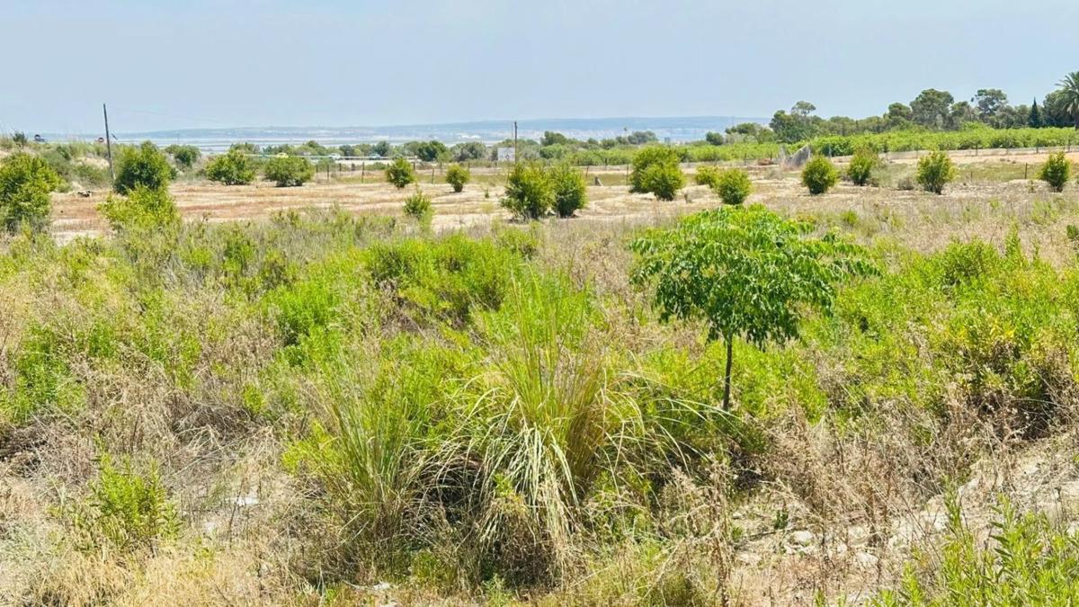 Terreno en venta en Elche / Elx, Alicante photo 1