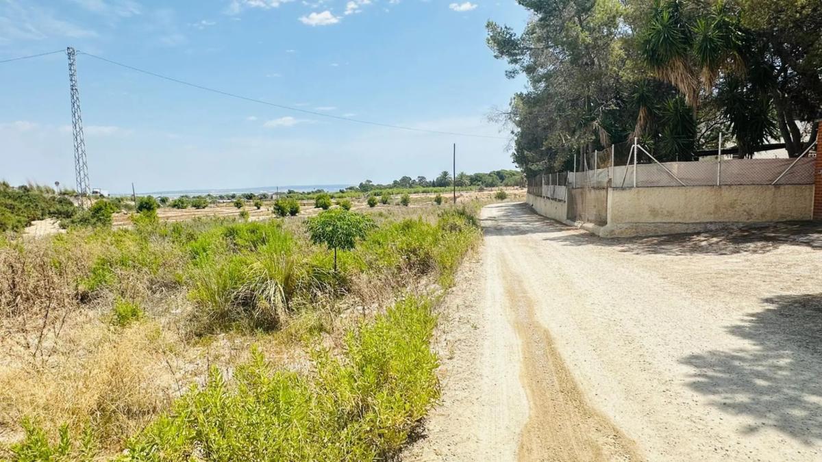 Terreno en venta en Elche / Elx, Alicante photo 2