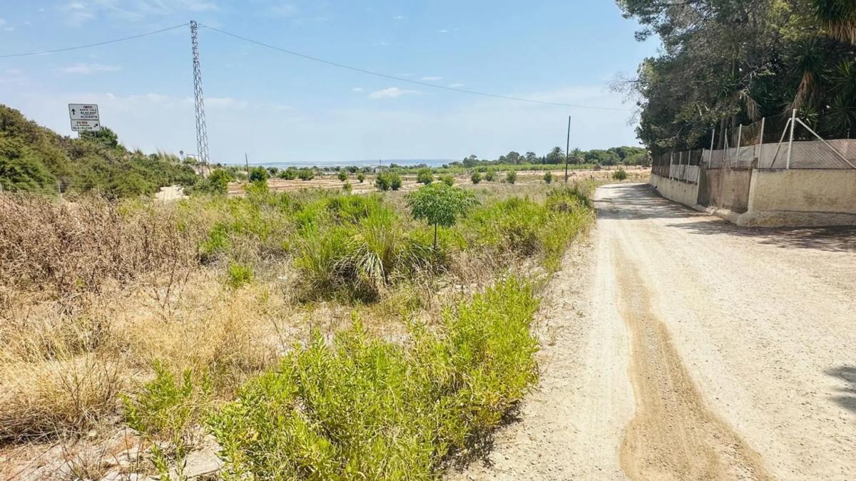 Terreno en venta en Elche / Elx, Alicante photo 3