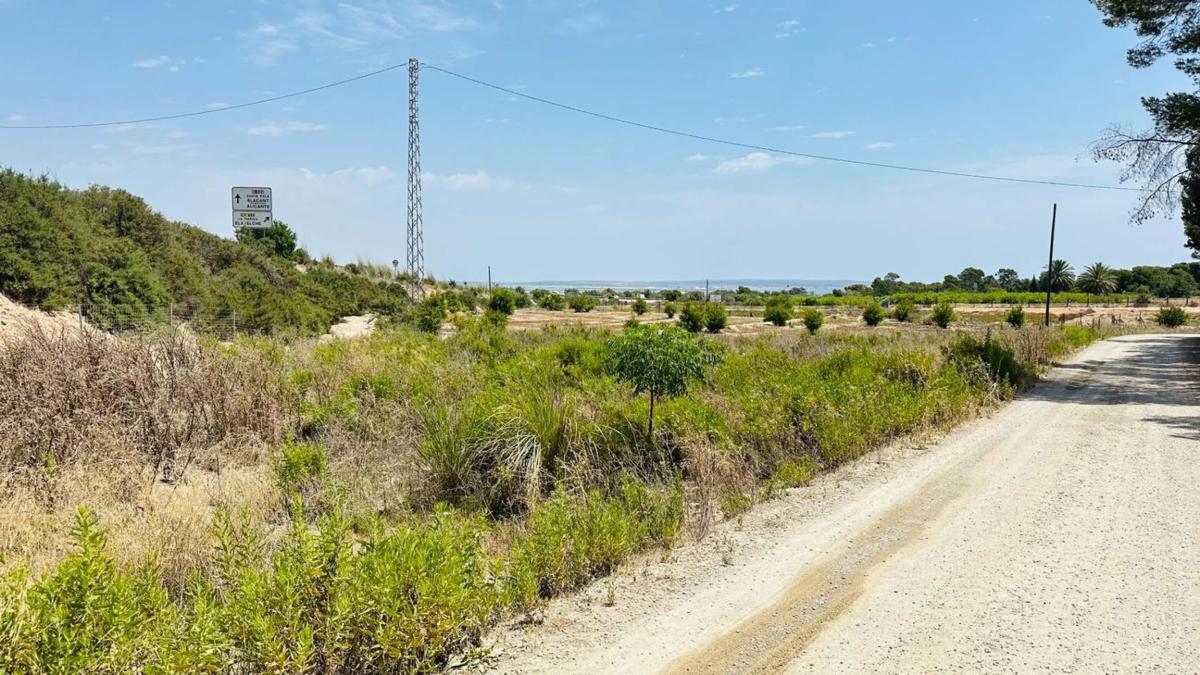 Terreno en venta en Elche / Elx, Alicante photo 4