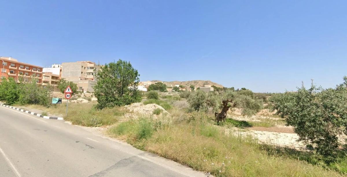 Land for sale in August, Alicante photo 3
