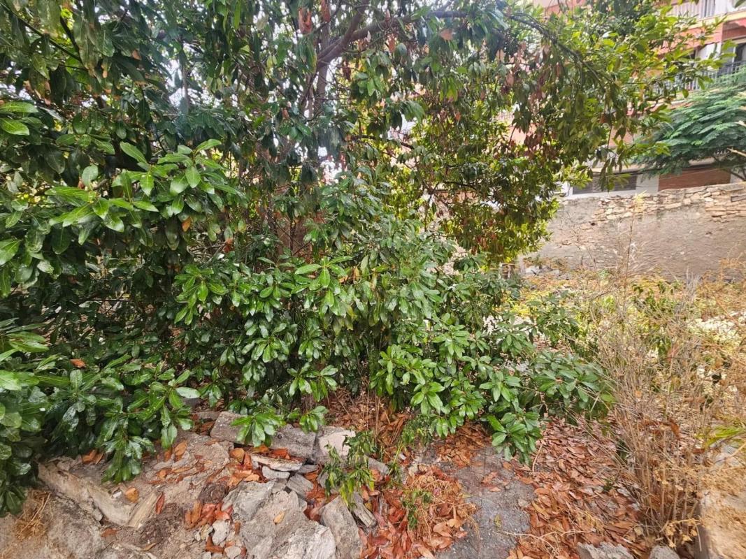 Land for sale in Alicante, Alicante photo 4