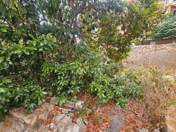 Terreno en Barrio San Gabriel photo 4