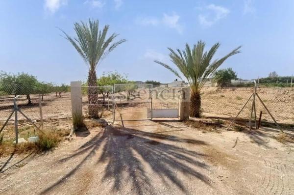 Terreno en Barrio Ciudad de Asís - Font-Calent - El Bacarot photo 1
