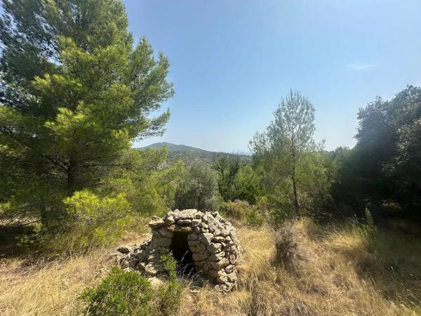 Terreno en Cv-749 photo 1