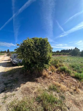Terreno en carretera de les Marines a Dénia, 181 photo 1