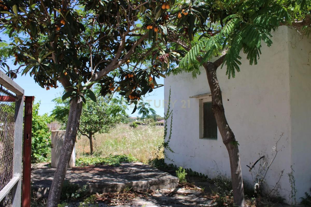 Terreno en venta en Denia, Alicante photo 5