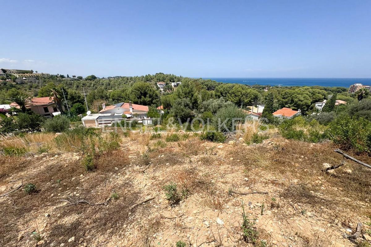 Land for sale in Denia, Alicante photo 3