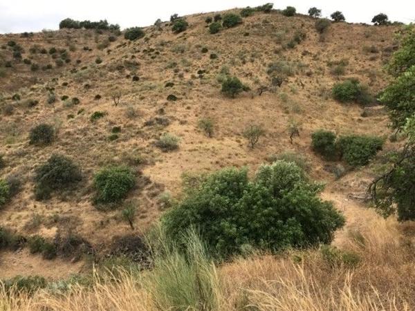Terreno en camino Cortijo Los Arias s/n Santarosalia photo 3