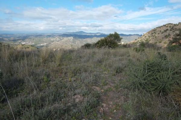 Terreno en Viaducto de Casarón de Anís, km 5 photo 1
