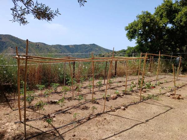 Terreno en camino de Totalan, 1 photo 4
