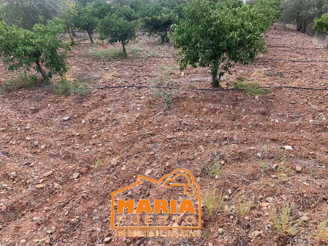 Участок земли на продажу в Малага, Малага photo 2