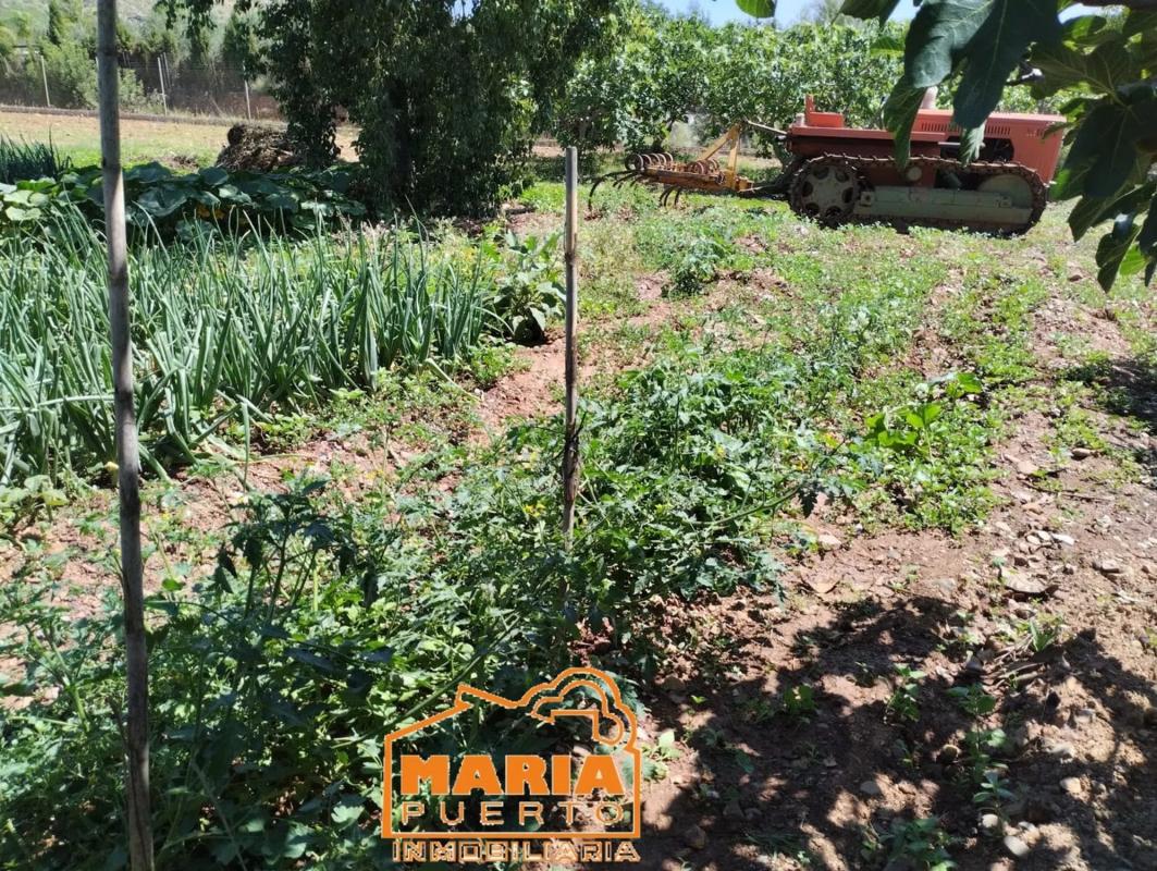 Участок земли на продажу в Малага, Малага photo 5