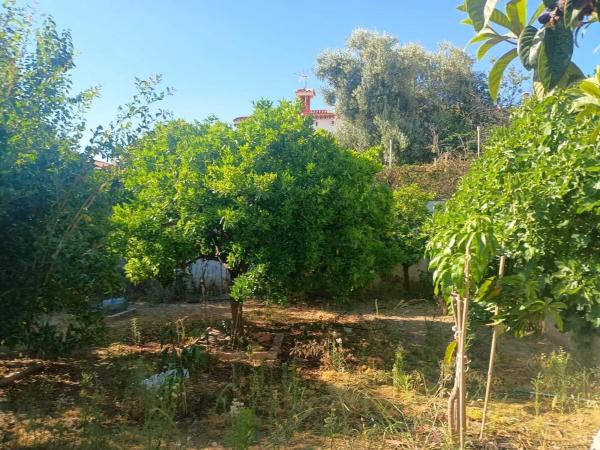 Terreno en Barrio Fuente Alegre - El Chaparral - Los Morales photo 1