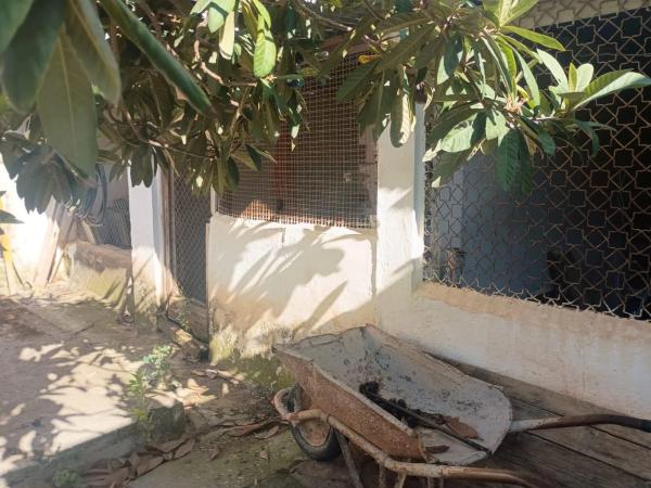 Terreno en Barrio Fuente Alegre - El Chaparral - Los Morales thumbnail 2