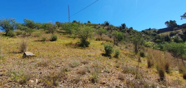 Terreno en camino La Pocaria photo 1