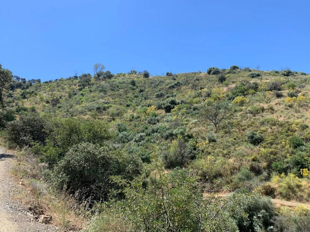 Terreno en venta en Málaga, Malaga photo 2