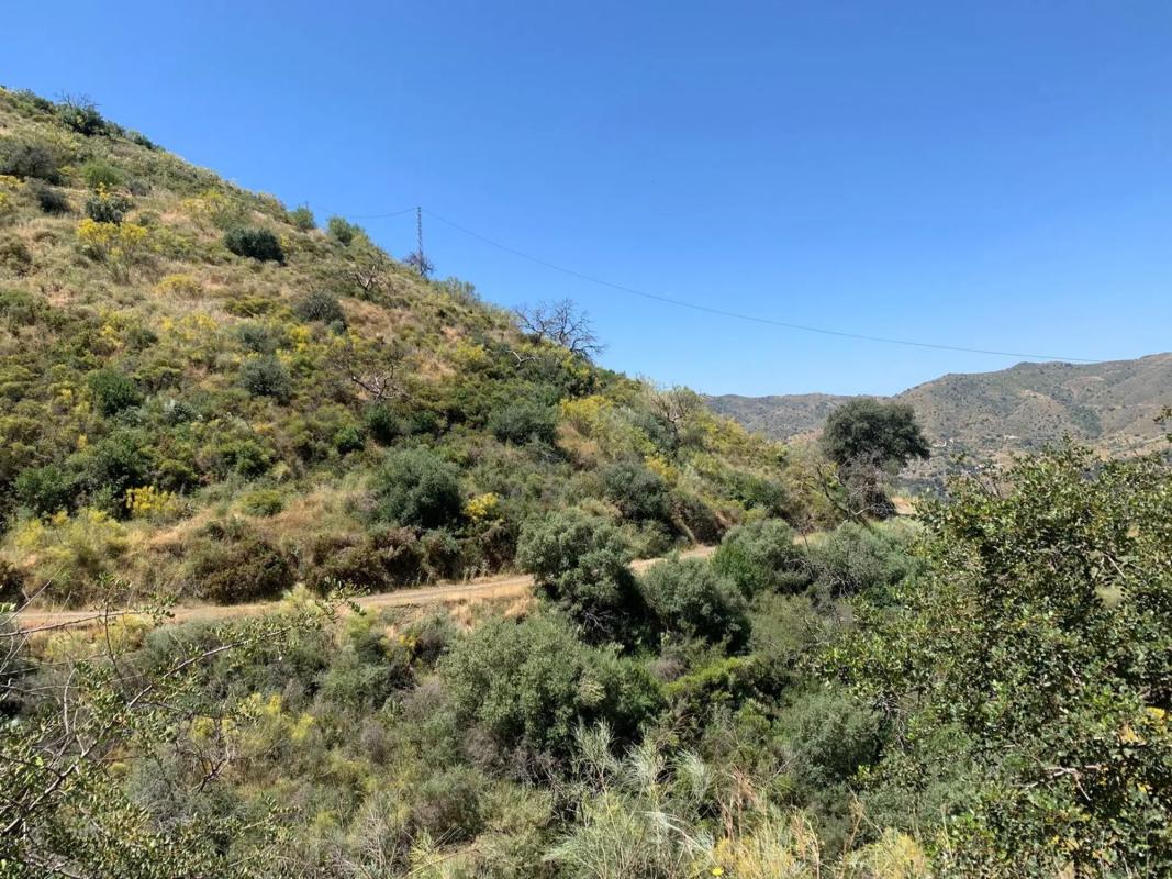 Terreno en venta en Málaga, Malaga photo 3