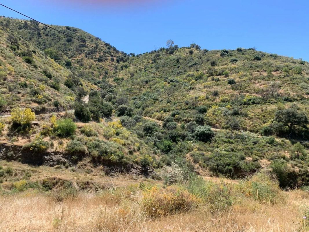 Terreno en venta en Málaga, Malaga photo 4