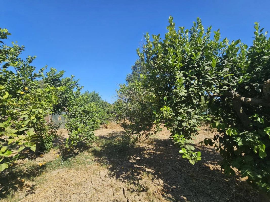 Działka na sprzedaż w Málaga, Malaga photo 3