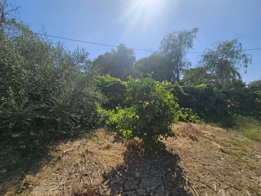Działka na sprzedaż w Málaga, Malaga photo 4