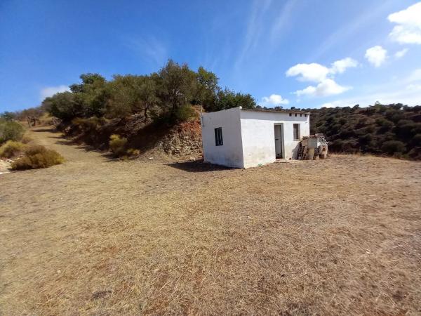 Terreno en via Sin Nombre, km 8 photo 2