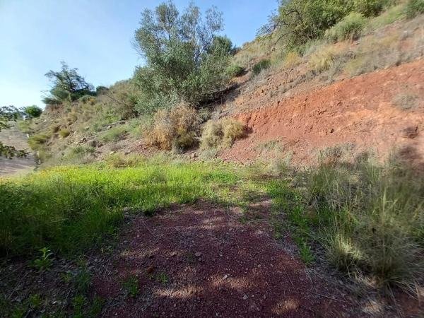 Terreno en via Sin Nombre, km 8 photo 4